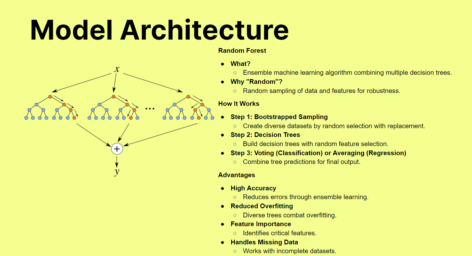 image of model architecture.