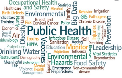 Public Health Word Tree