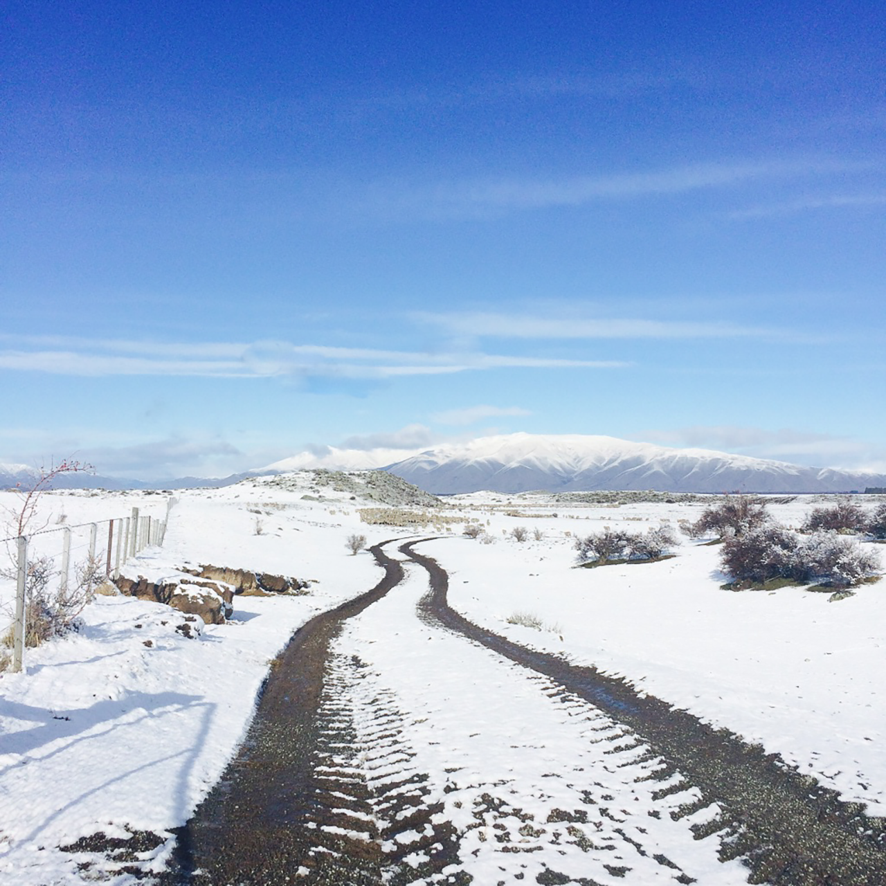 Snow