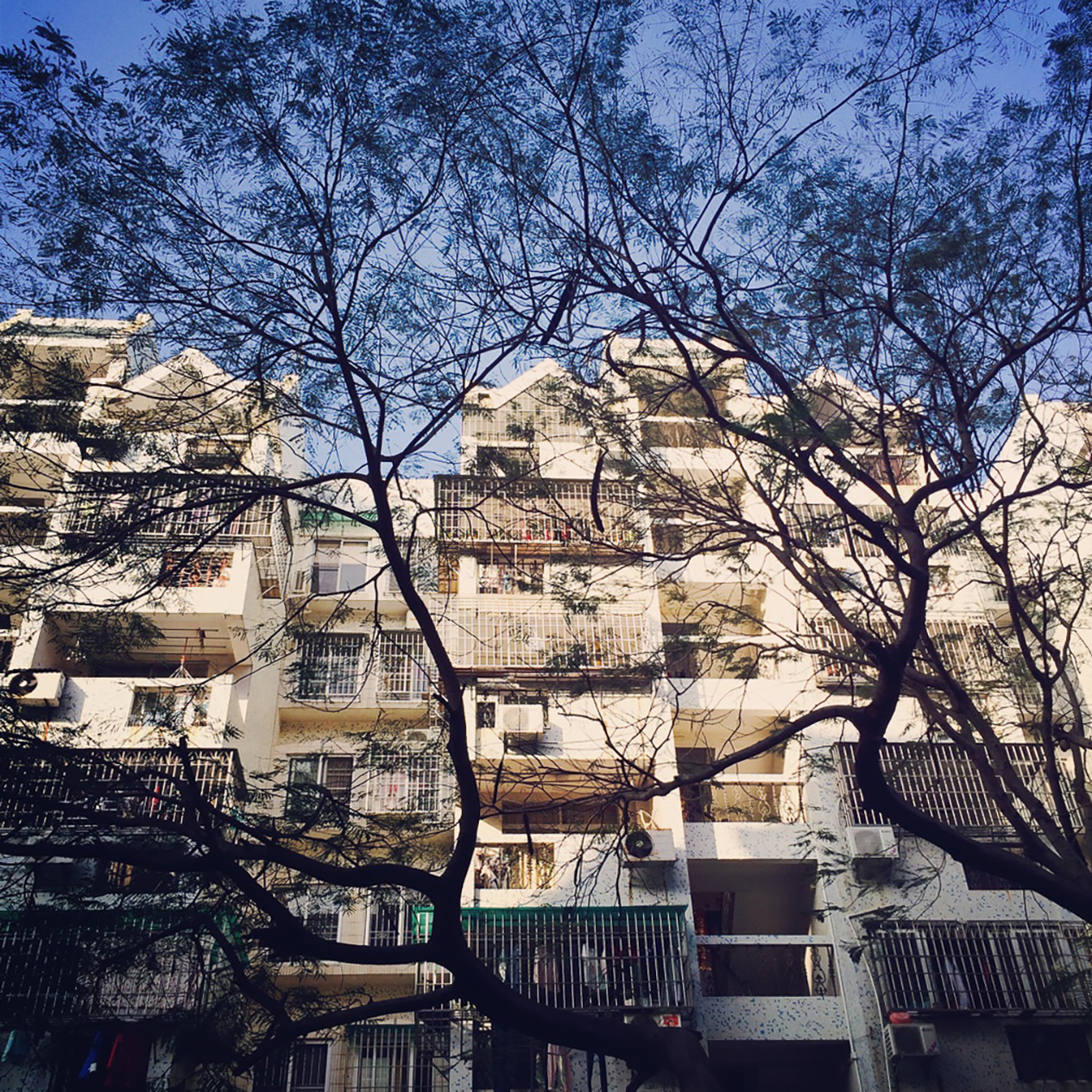 Trees-and-Houses